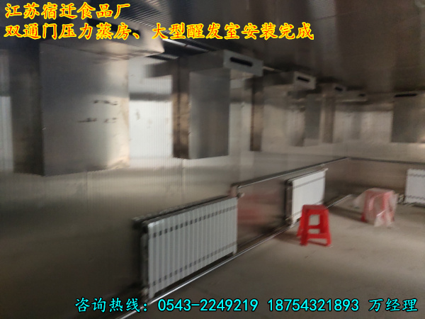 【桃花坞里桃花庵，桃花庵下桃花仙】东丰县专业供应制造食品醒发房 全自动馒头发酵箱 控温控时控湿智能两相电馍馍醒发箱生产厂家